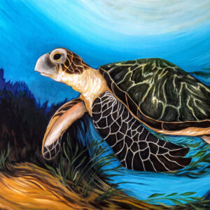 Wise Turtle Painting By Local Victoria Artist Anna Spratt