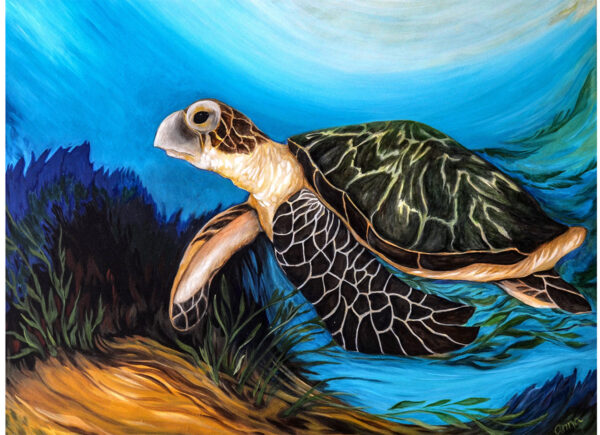 Wise Turtle Painting By Local Victoria Artist Anna Spratt