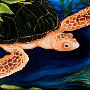 Turtle Painting Product Image