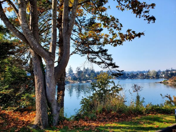 Lake Front Property Photo Canvas